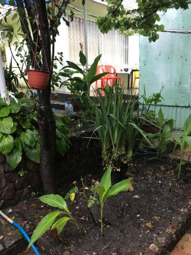 Фотография гостевого дома У Ивана