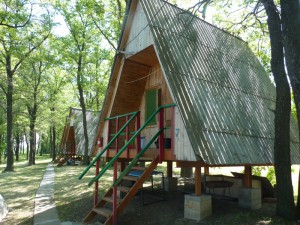 Фотография базы отдыха Наука