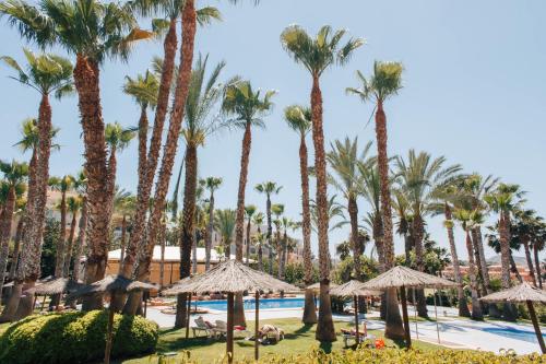 Фотографии гостиницы 
            Hotel Alicante Golf