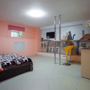 Фотография квартиры Апартаменты на Гаванской (3)