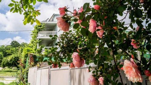 Фотографии гостевого дома
Альдаир