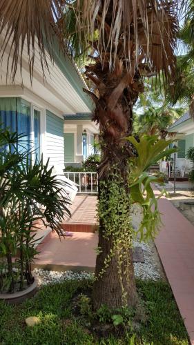 Фотография гостиницы Vipha Ville Resort