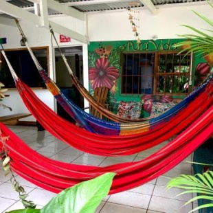 Фотография хостела Pura Vida Hostel