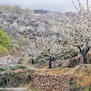 Фотографии гостиницы
Hotel El Yedron