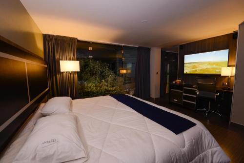 Фотография гостиницы Rado Hotel - Santa María