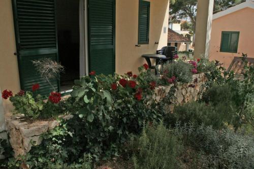 Фотография гостевого дома Apartments by the sea Rogoznica - 3094