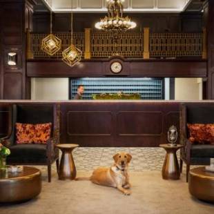 Фотографии гостиницы
Hotel Northland, Autograph Collection