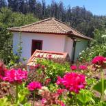 Фотография гостевого дома One bedroom villa with spa enclosed garden and wifi at Camacha