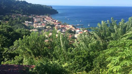 Фотография гостевого дома The Kapokier