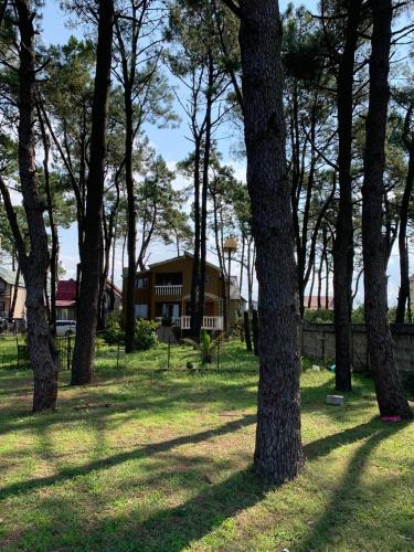 Фотография гостевого дома Григолети Дом для отпуска на пляже