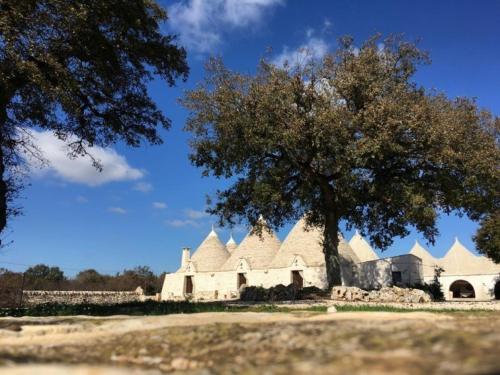 Фотография базы отдыха Materiis