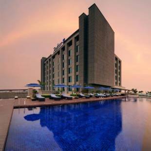 Фотографии гостиницы 
            Radisson Blu Hotel New Delhi Paschim Vihar
