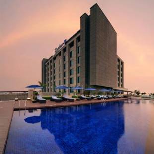 Фотографии гостиницы
Radisson Blu Hotel New Delhi Paschim Vihar