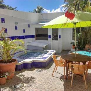 Фотографии мини отеля
Villa San Miguel