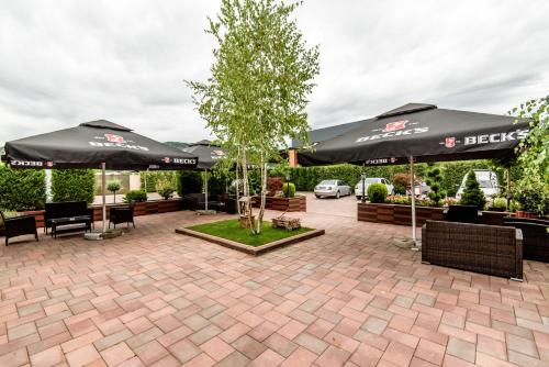 Фотография гостевого дома Pensiunea Paradis