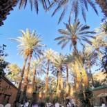 Фотография мини отеля Riad Dar Sofian