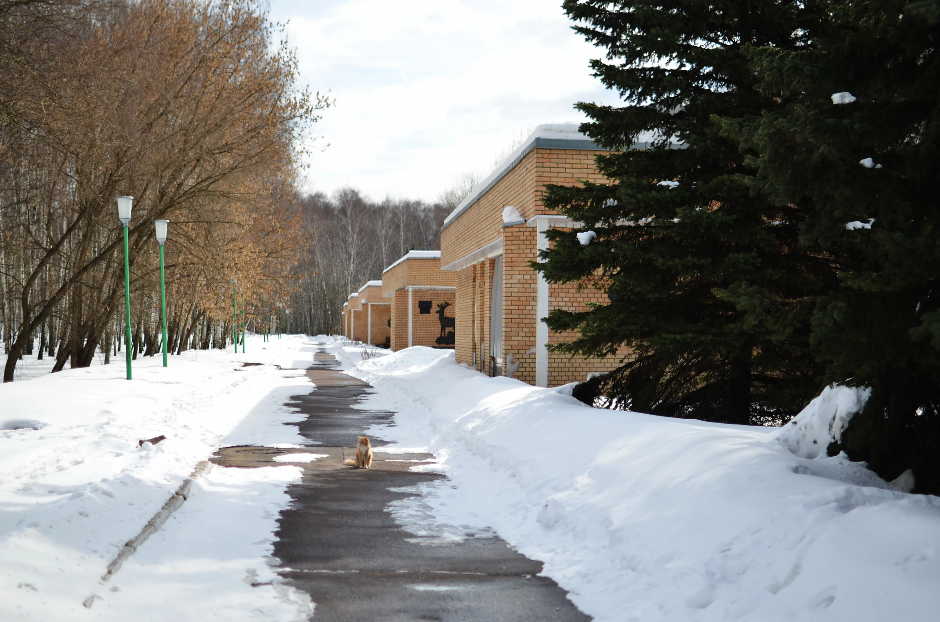 Фотография гостиницы Военно-охотничьего общества