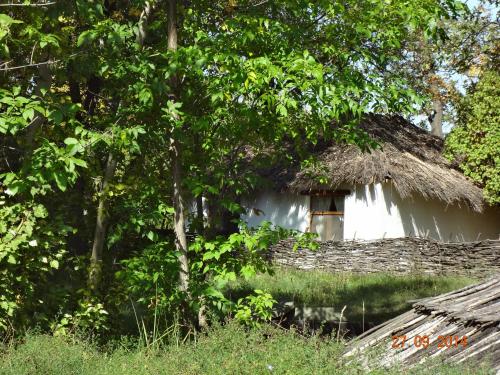 Фотография мини отеля Усадьба Репино