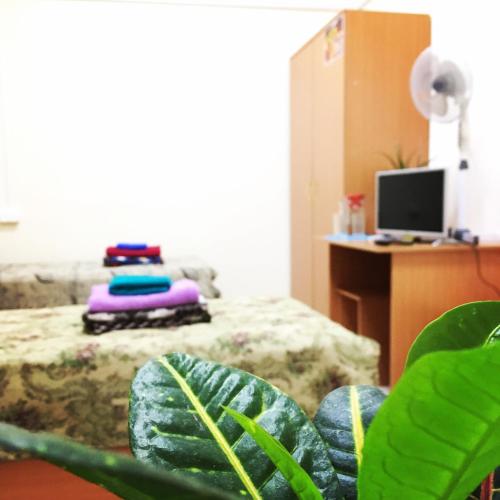 Фотография гостевого дома Сэргэ