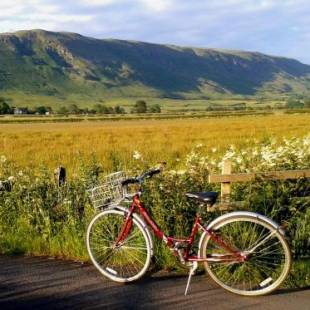 Фотографии гостевого дома 
            Dingieshowe Cottage