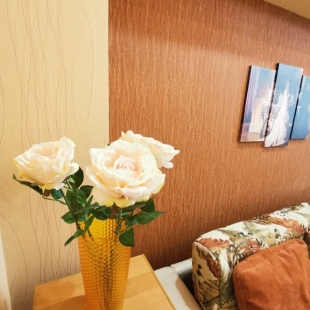 Фотография квартиры Апартаменты на Космонавтов 19