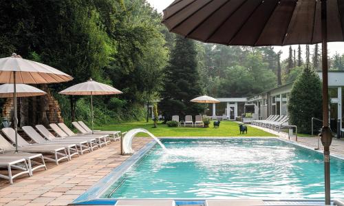 Фотография гостиницы Waldhotel Tannenhäuschen