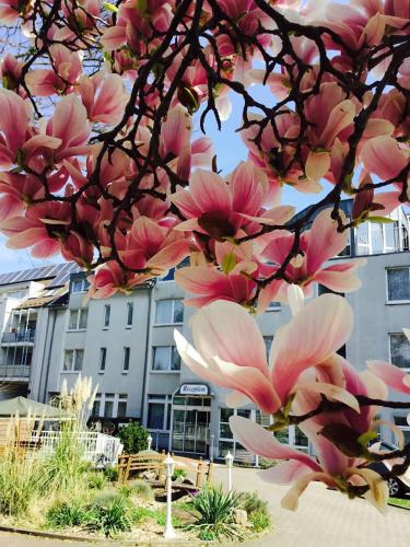 Фотография гостиницы Hotel Astoria City Resort