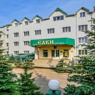 Фотография банкетного зала Ёлки №2