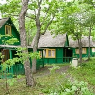 Фотография базы отдыха Политехник