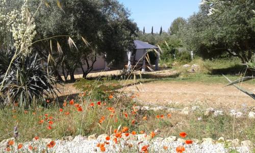 Фотография гостевого дома Ecoutez les oiseaux