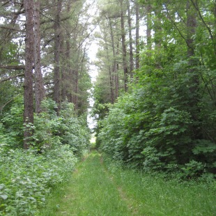 Фотография достопримечательности Дендропарк