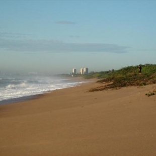 Фотография мини отеля Durban Backpackers