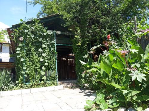 Фотография гостевого дома Живая Вода