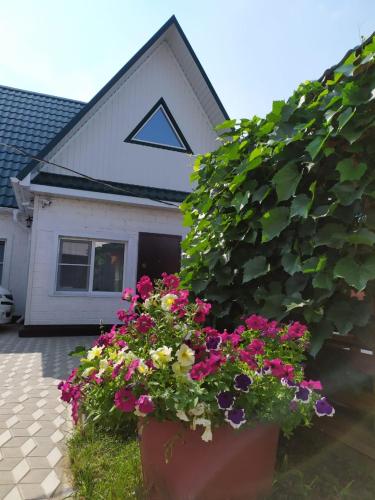 Фотография гостевого дома Тихий дворик