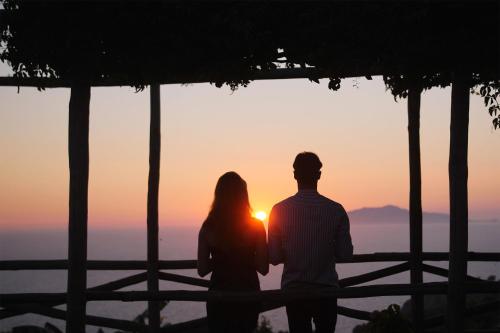 Фотография гостиницы Hotel Il Girasole