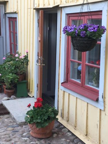 Фотография мини отеля One Room Bed & Breakfast