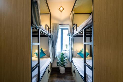 Фотография хостела Fedora Hostel