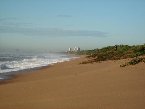 Фотографии мини отеля
Durban Backpackers