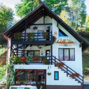 Фотография гостевого дома Colț Viu Chalet