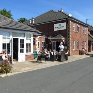 Фотография гостиницы The Avenue Hotel Ltd