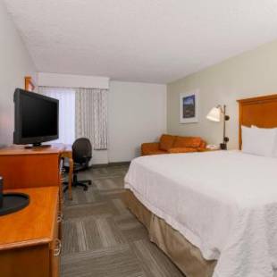 Фотографии гостиницы 
            Hampton Inn Houston Hobby Airport
