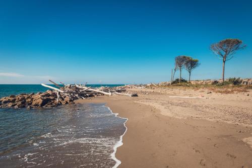 Фотография гостевого дома Poggiolivi Country House