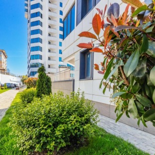 Фотография квартиры Bulgasari (Булгасари) на улице Ленина 298Б корпус 7