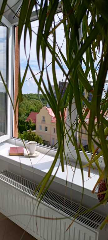 Фотография квартиры Квартира SEA Apartments