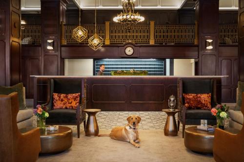 Фотография гостиницы Hotel Northland, Autograph Collection