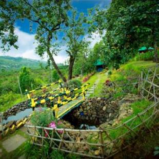 Фотографии базы отдыха
The Pear County