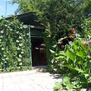 Фотография гостевого дома Живая Вода