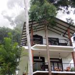 Фотография хостела Hill Forest Cottage