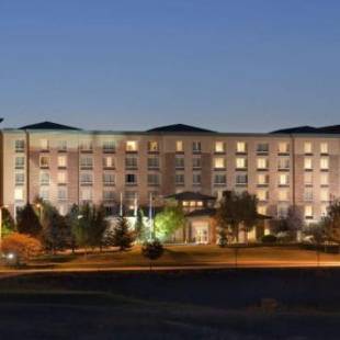 Фотографии гостиницы
Hilton Garden Inn Denver South Park Meadows Area