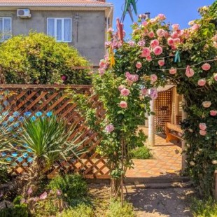 Фотография гостевого дома У Елены